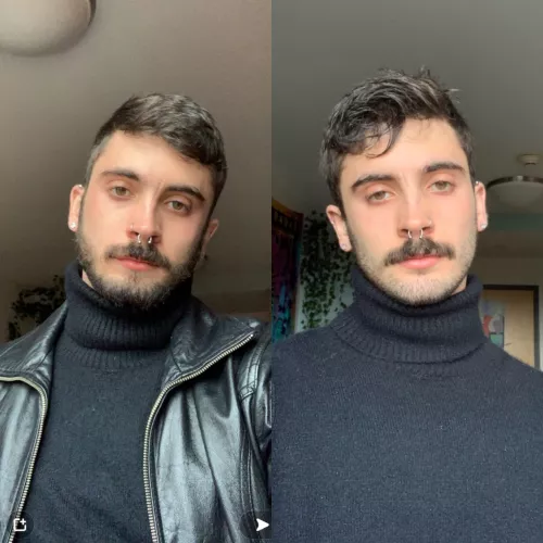 which one do we prefer yβall