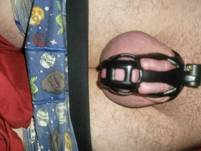 Which you like better, my undies or my caged cock?