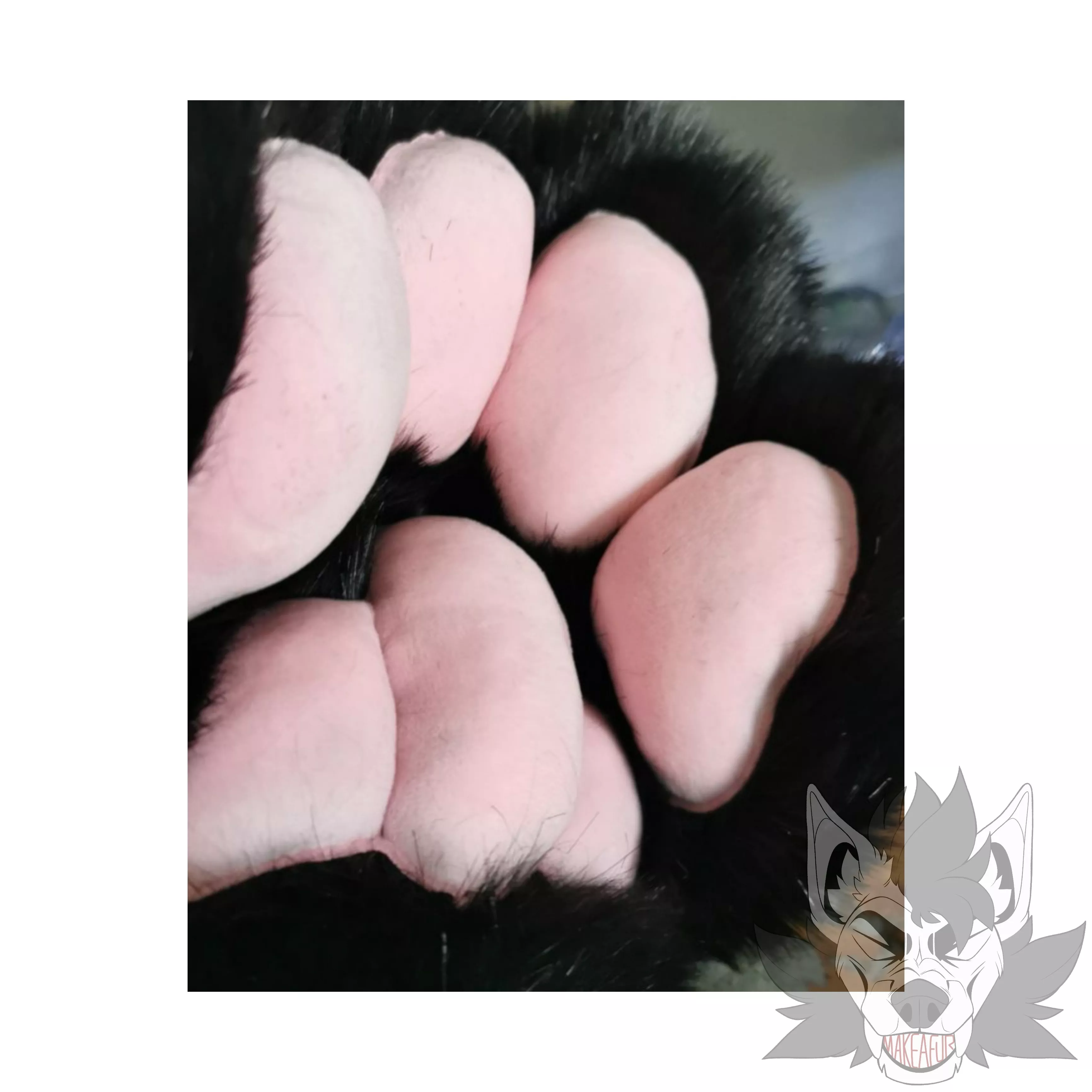 Who asked for ✨BEANS✨