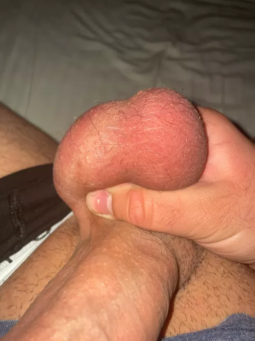 Who can helph me to empty my balls? Are they hot/big?