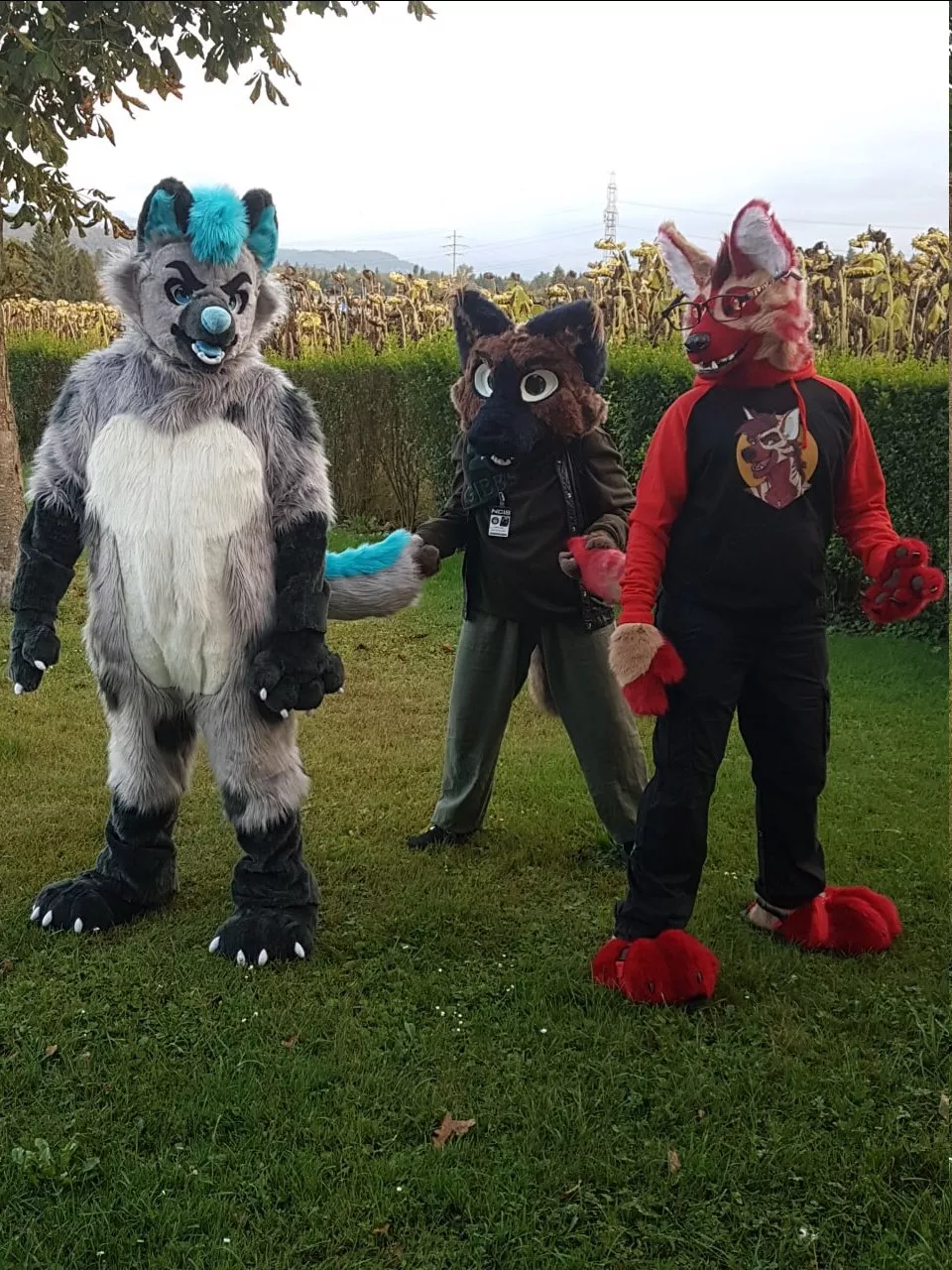 Who let the yeens out?!