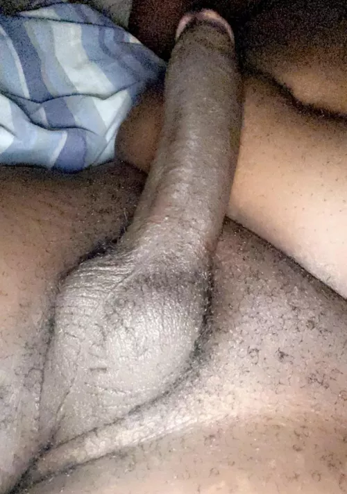Who likes it? [M]