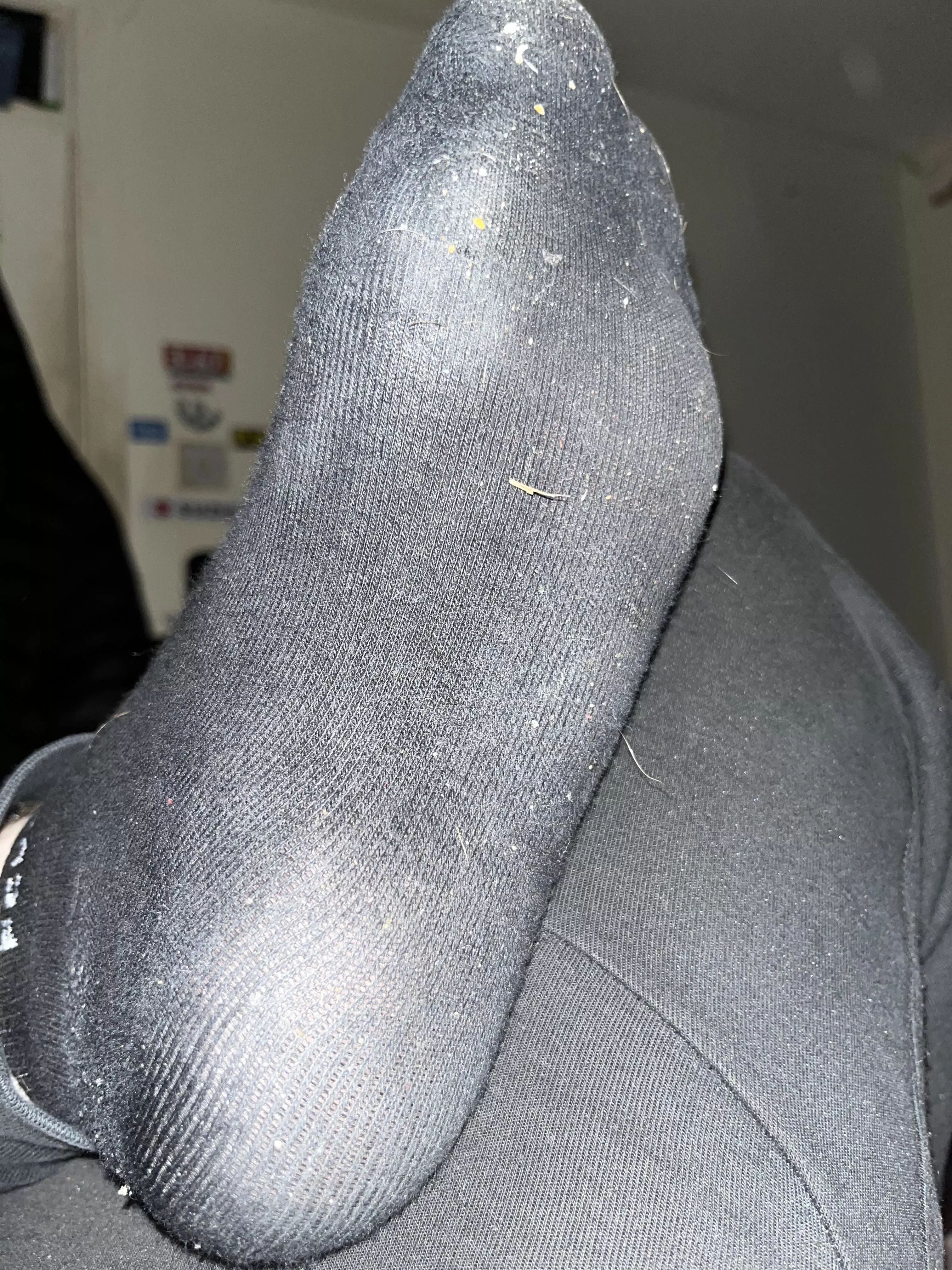 Who likes sweaty socks Who likes sweaty socks