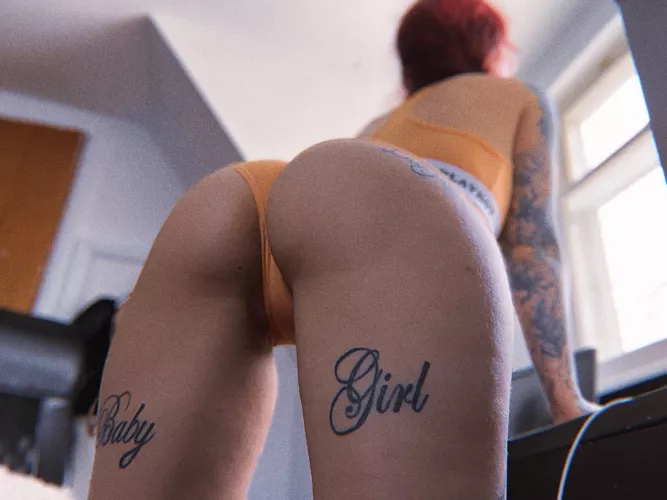 who wants a personal playboy bunny ?