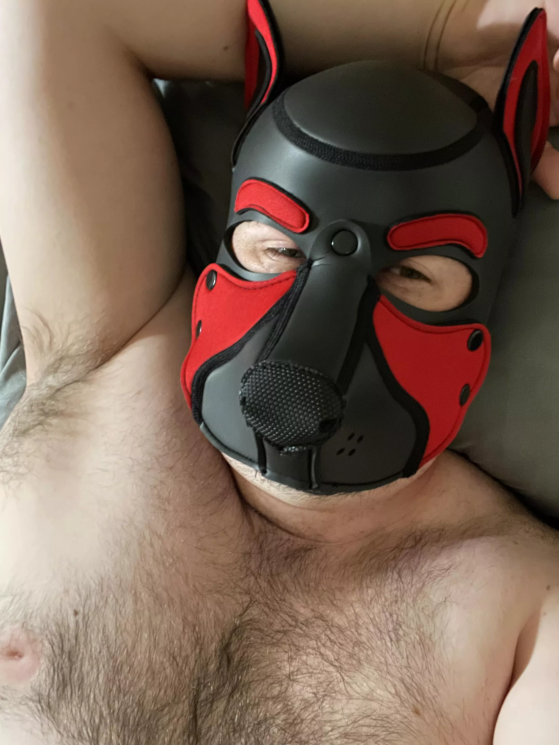 Who wants cuddles? 🐾
