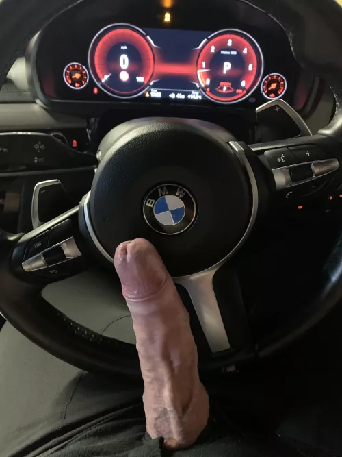 Who wants to come for a ride?