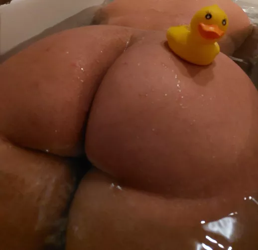 Who wants to duck?🦆