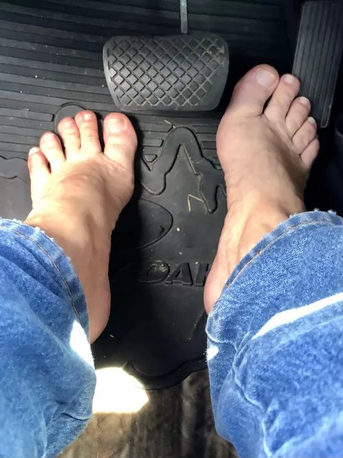 Who’s up for a ride?