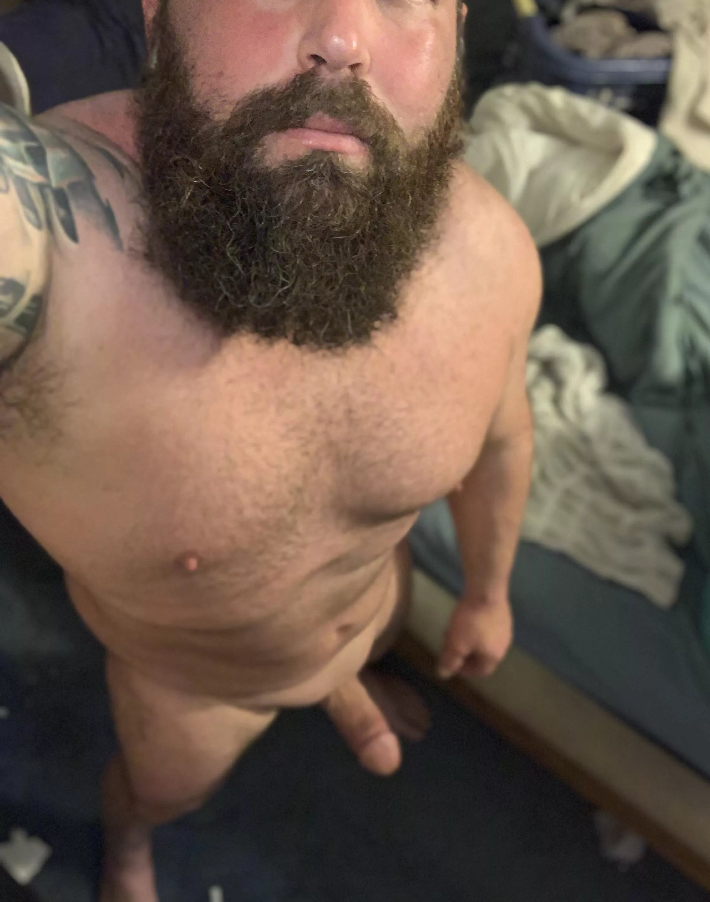 Wild Wednesday Wild Wednesday