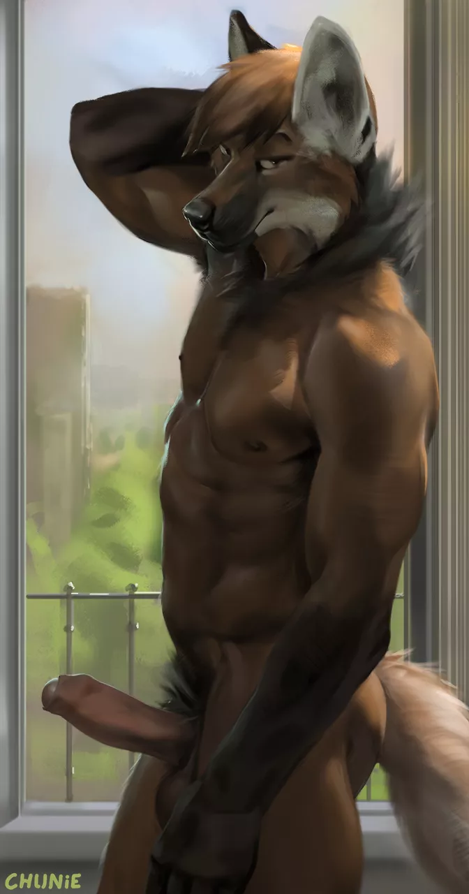 Window show (Chunie)