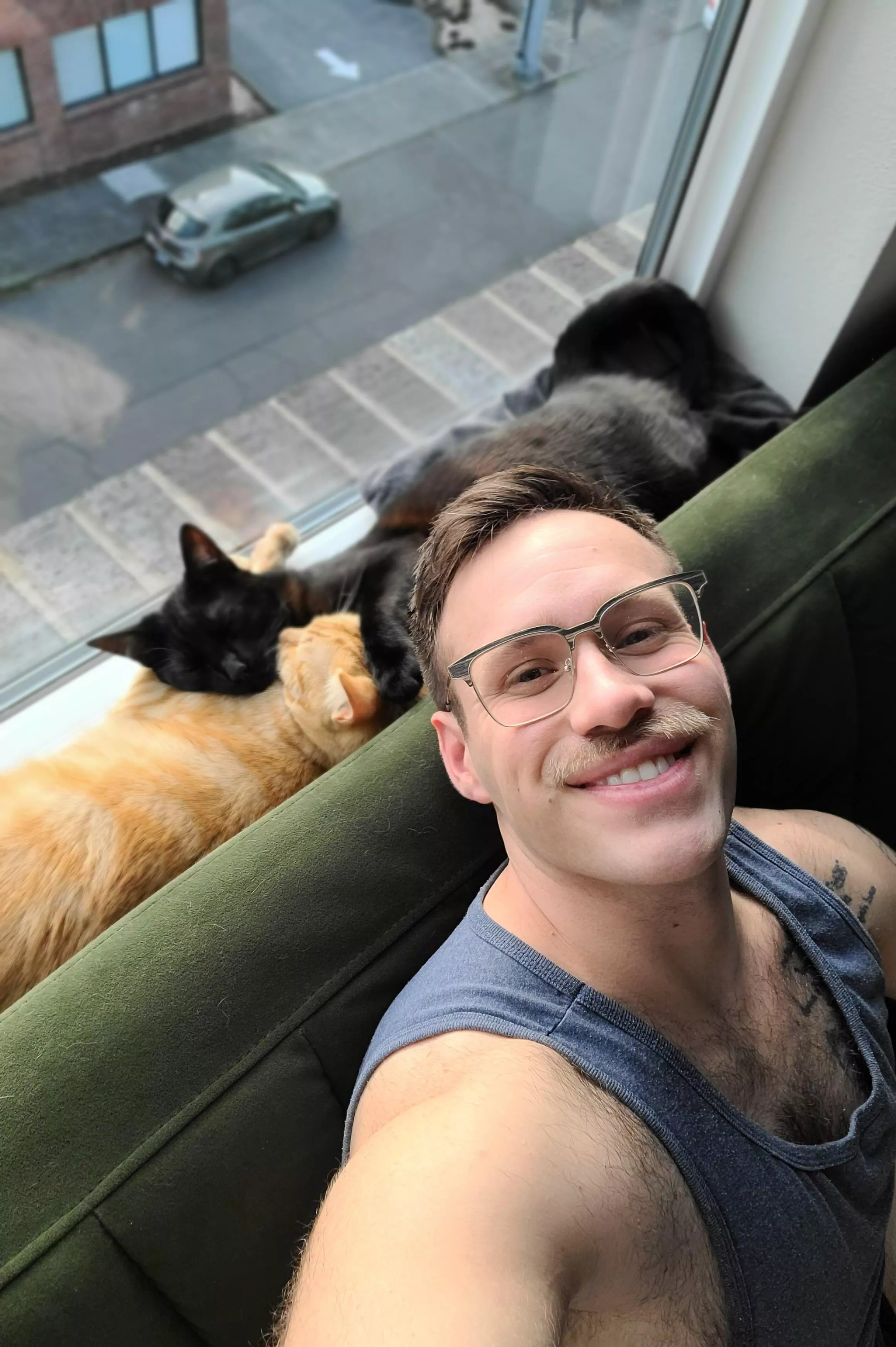 Wishing y'all a happy Caturday 🐈‍⬛🐈