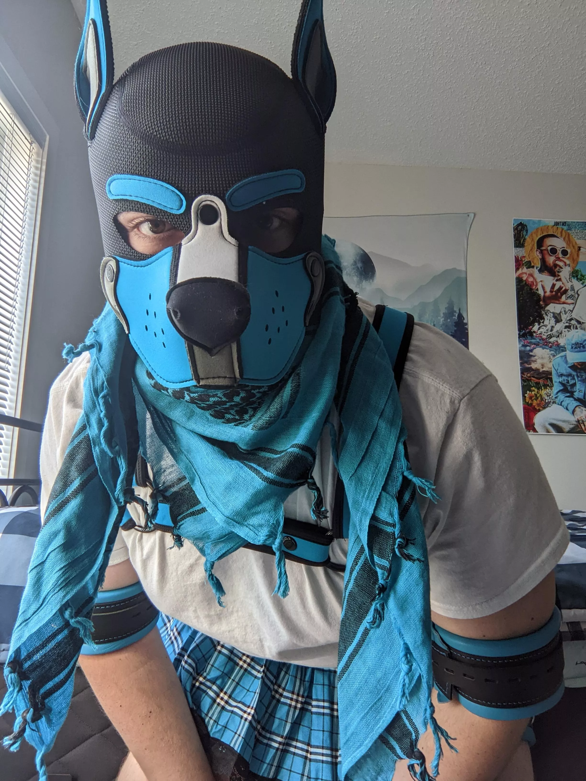 Woof! 💙