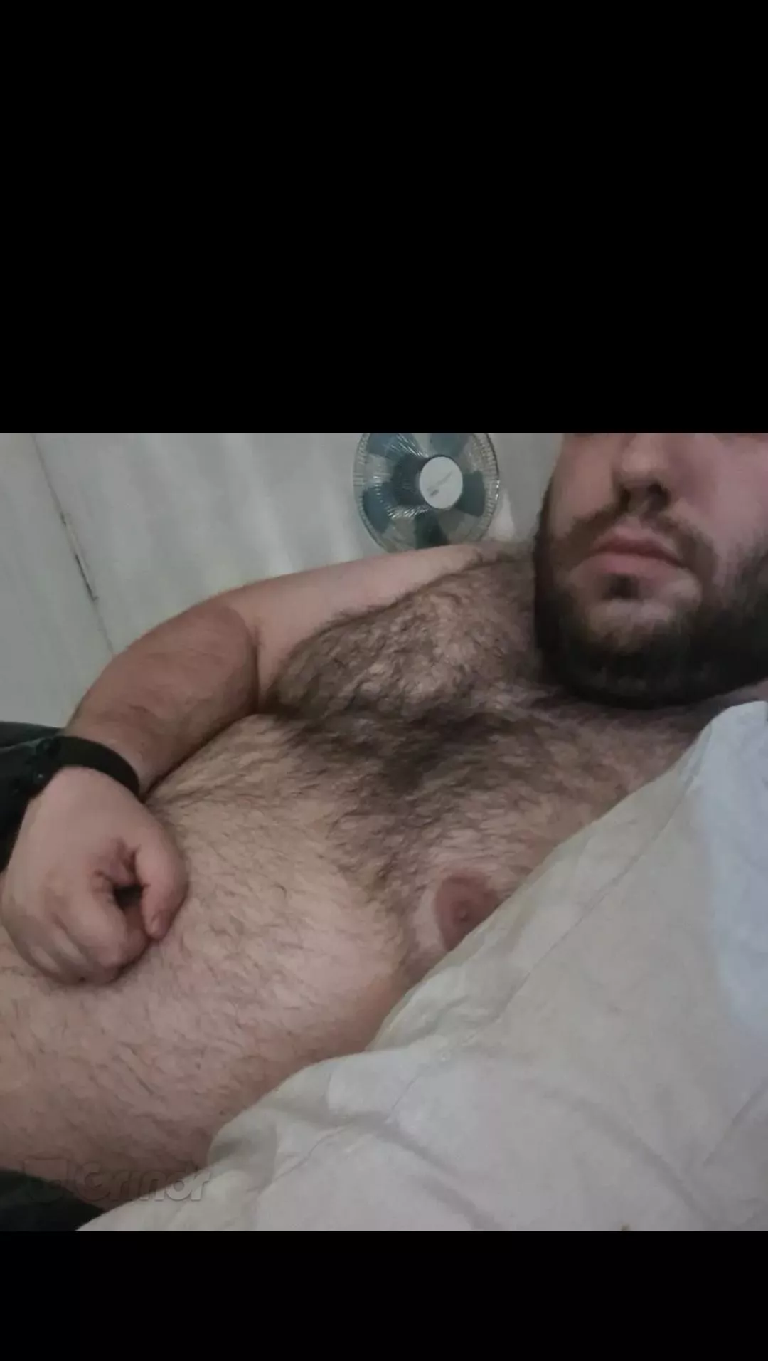 Woof if you want it 🐻