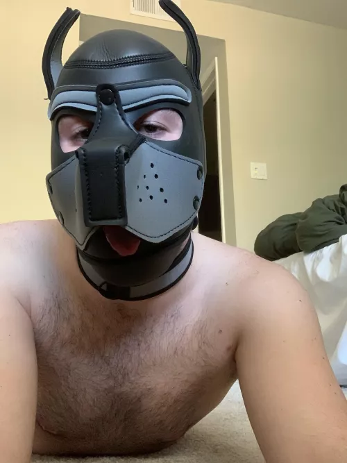 woof pup wants scratches ^-^