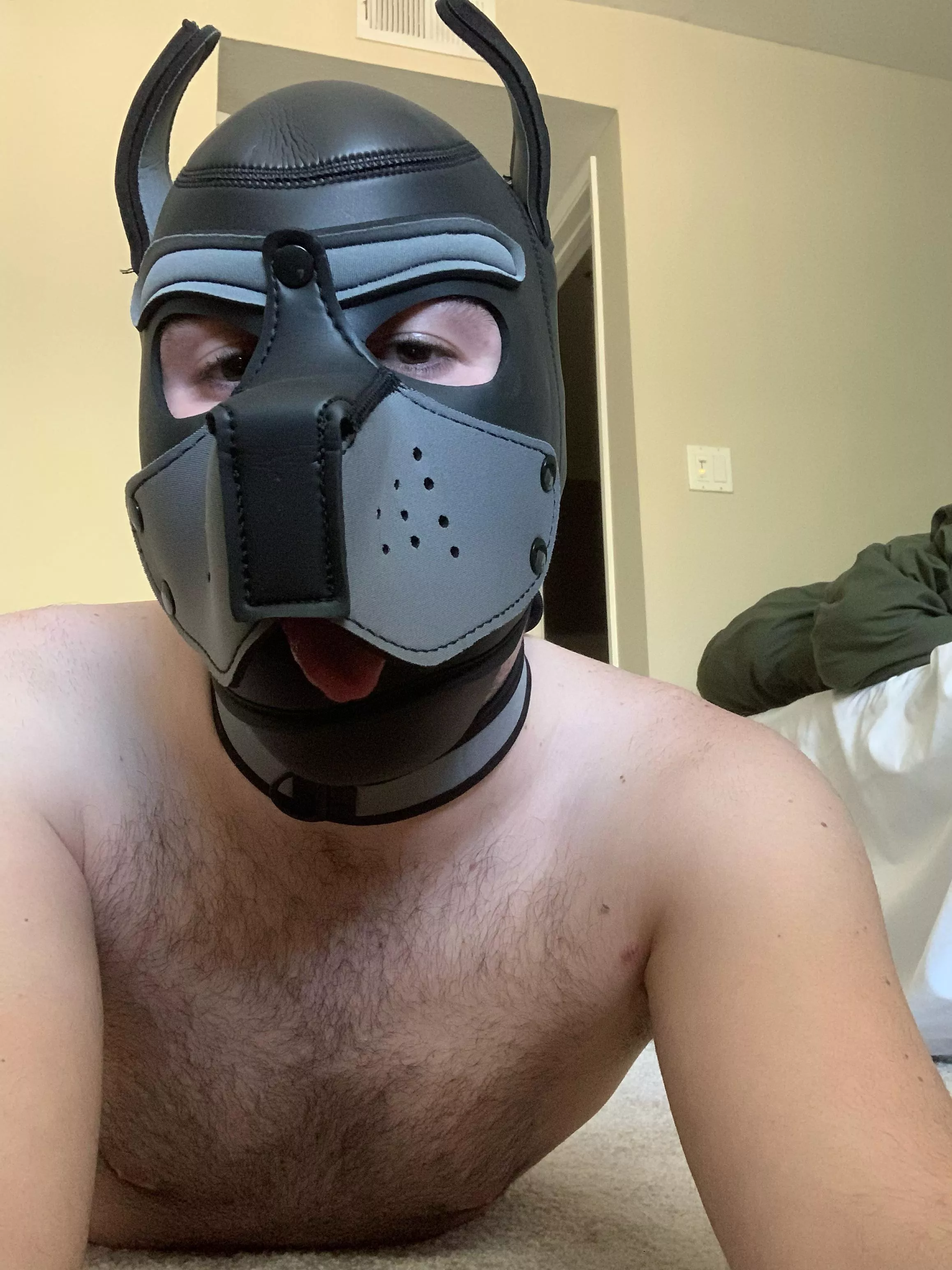 woof pup wants scratches ^-^