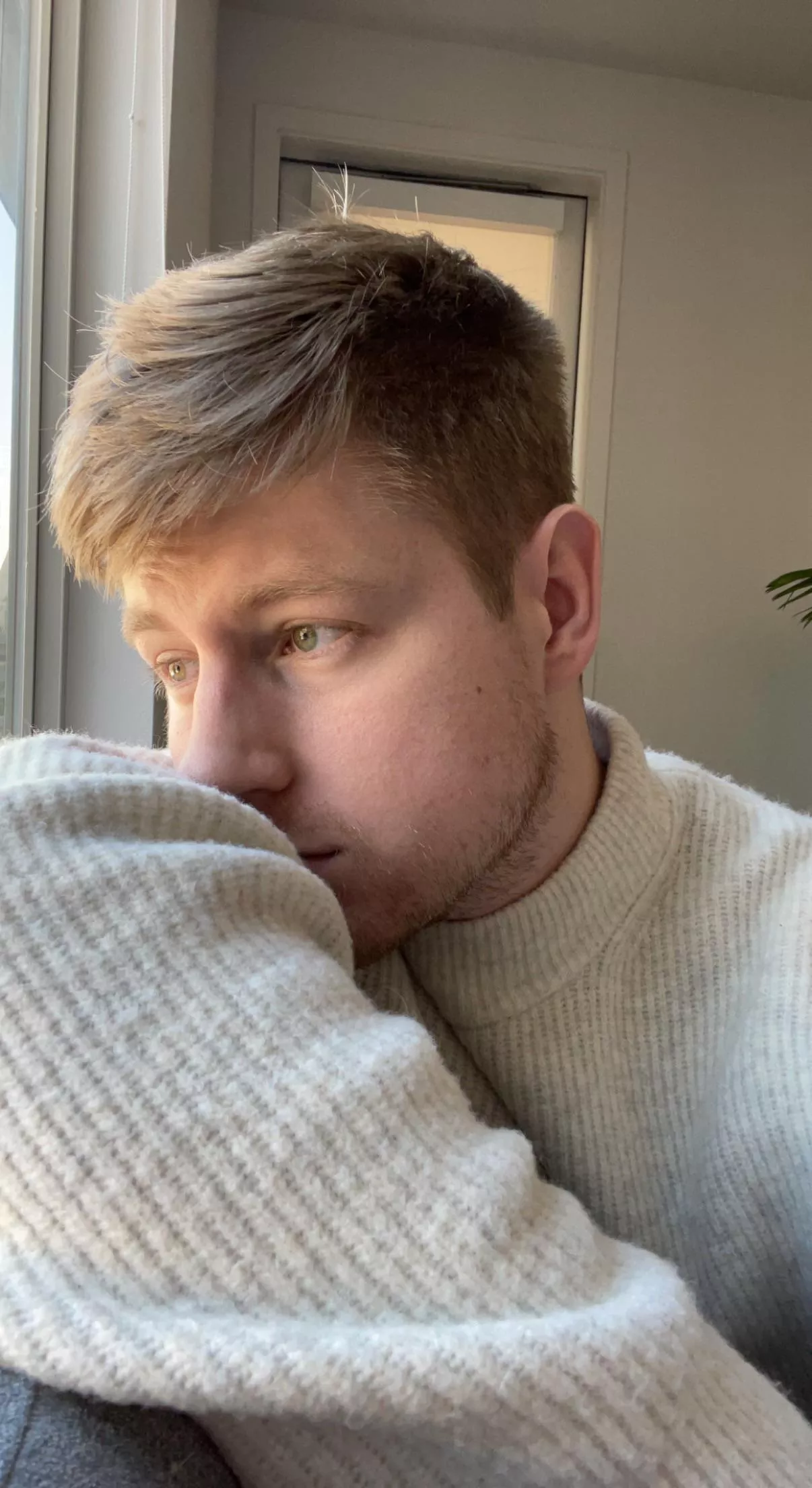 Working from home, but longing that springtime sunshine Working from home, but longing that springtime sunshine