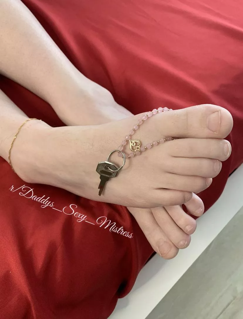 Worship my feet and earn a chance to be unlocked [domme] [oc]