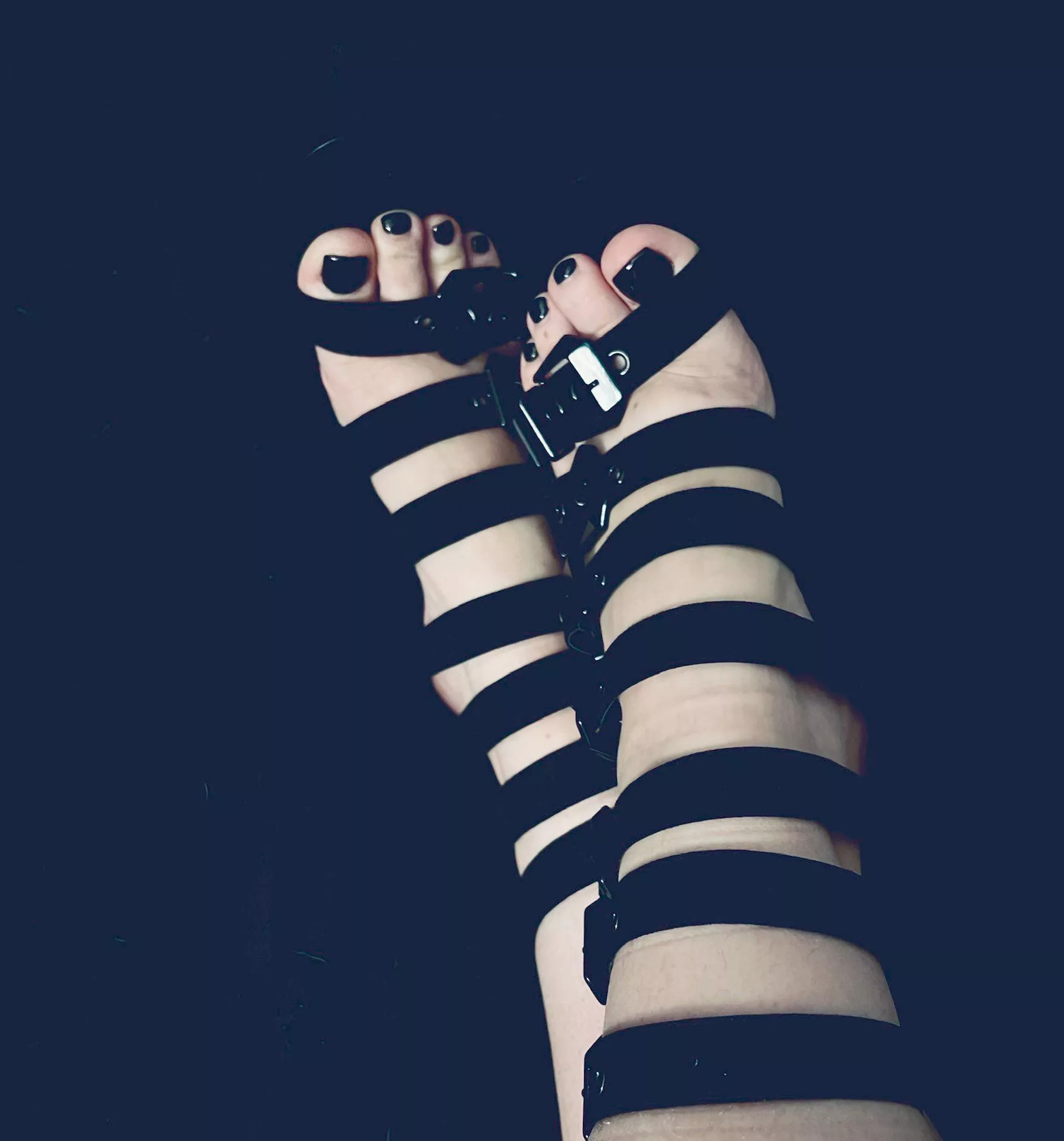 Would any of you beautiful ladies wanna play with these?