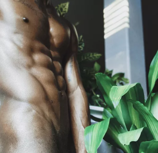 Would love to see how you all could work with the shadows