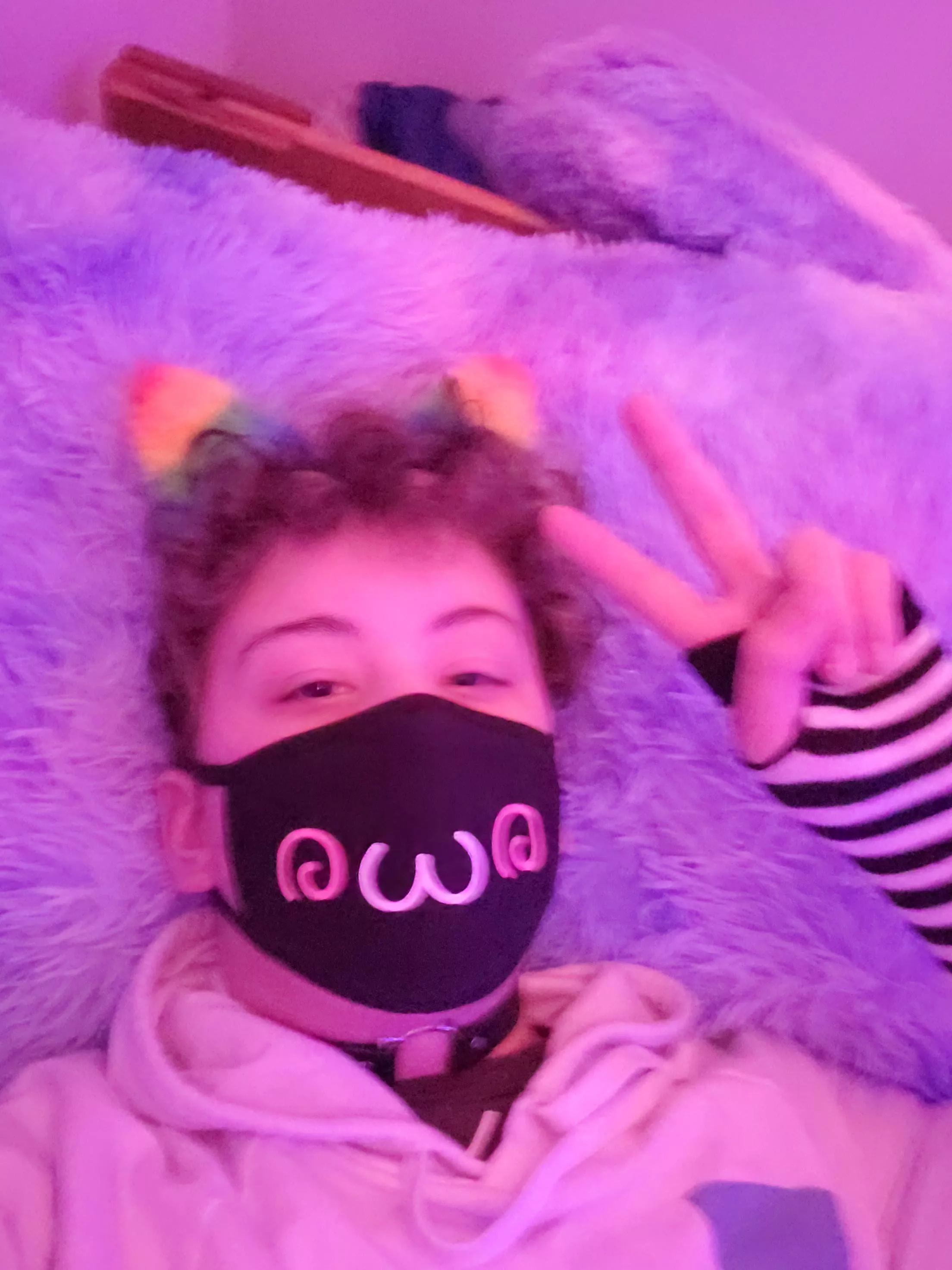 Would you gib headpats in return for cuddles? :3