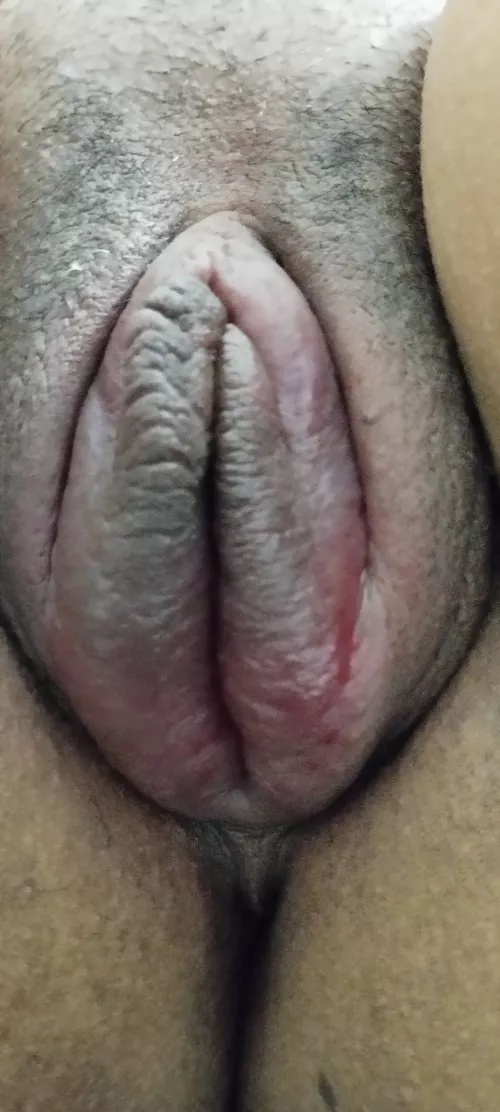 Would you give a kiss or lick?