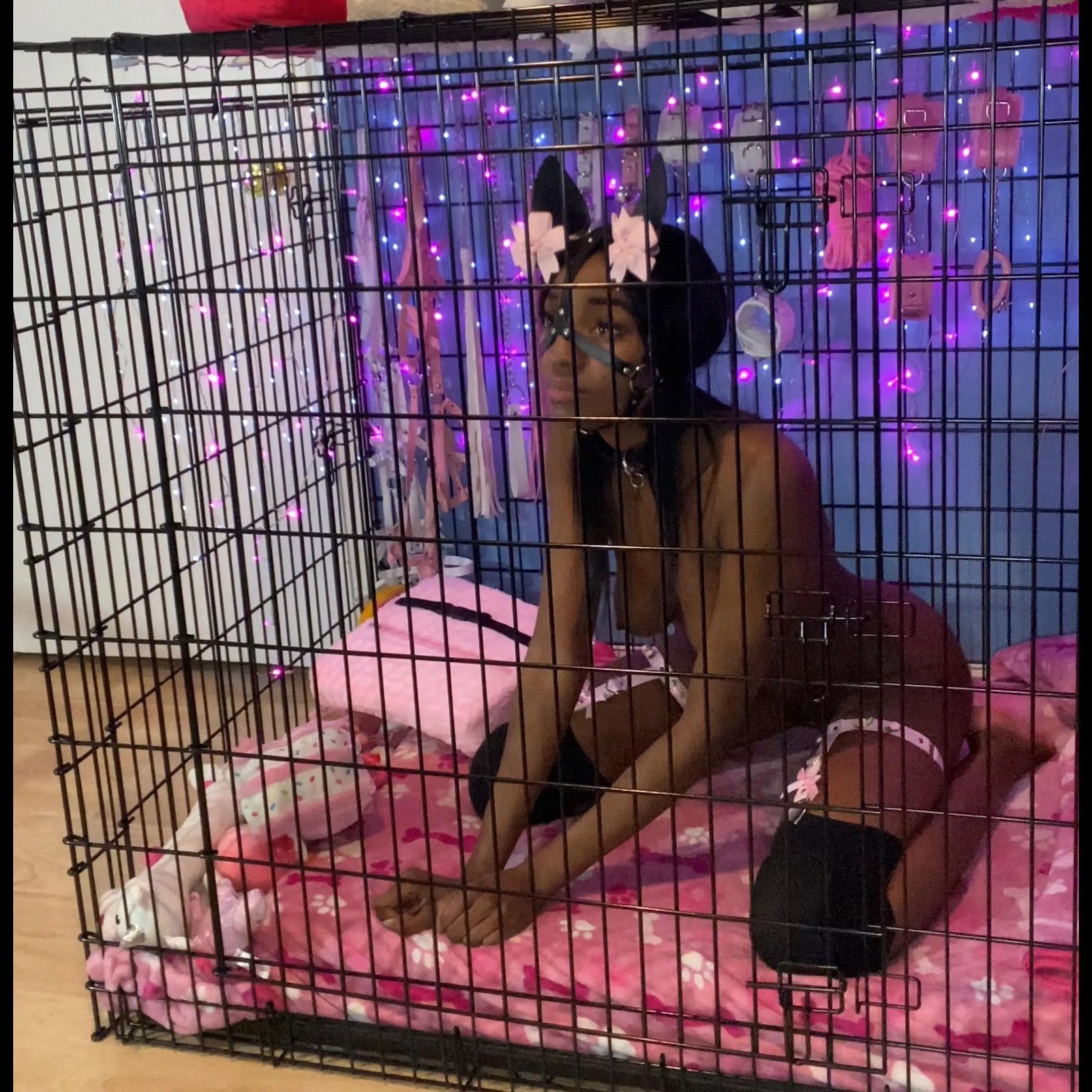 Would you let me out?🥺🐾🐶