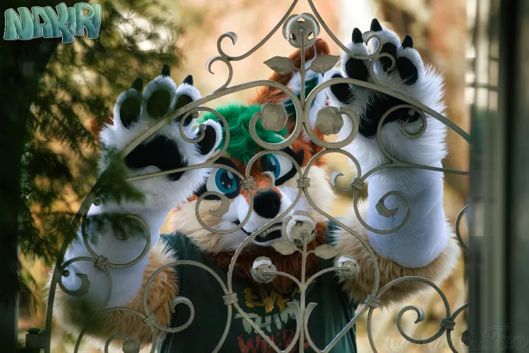 Would you open the gate for me and let me in? 🥺