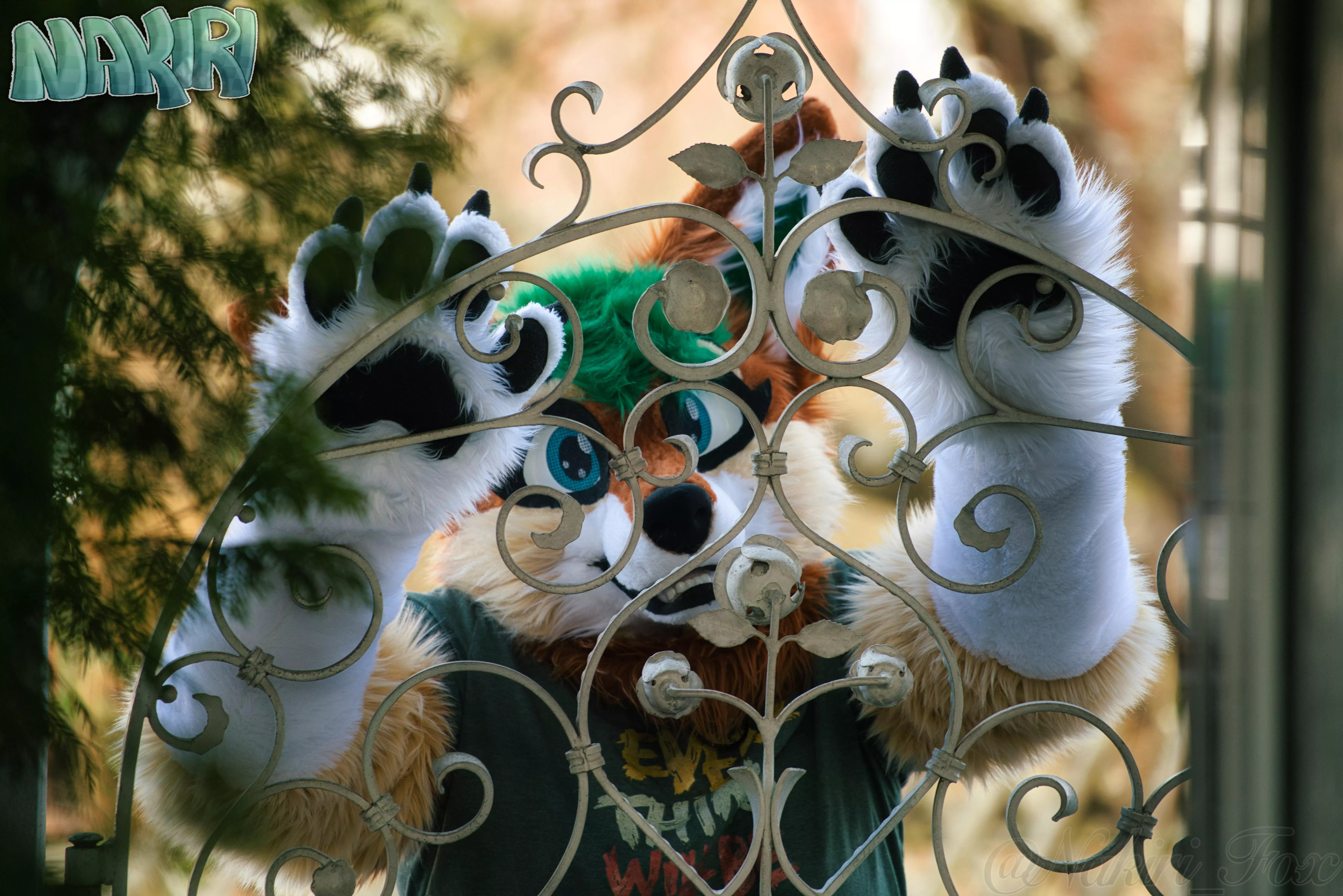 Would you open the gate for me and let me in? 🥺