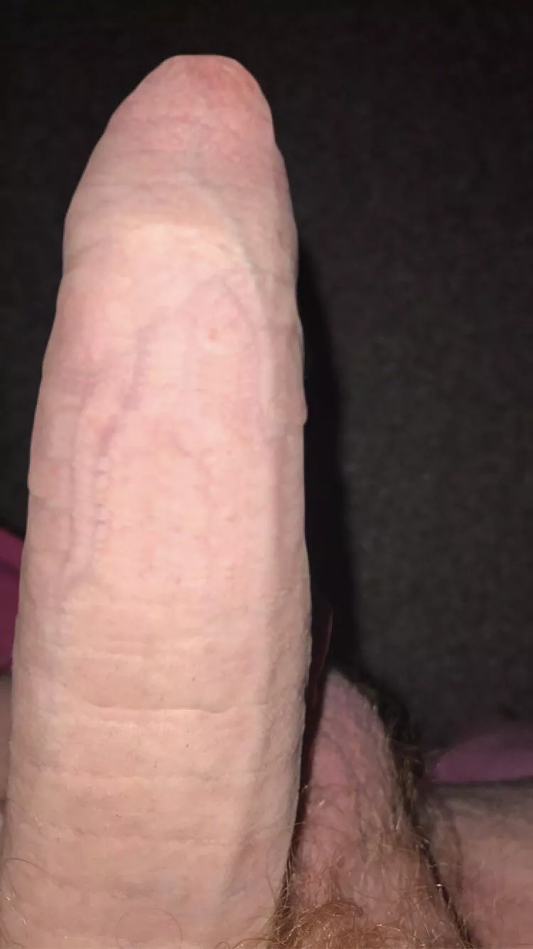 Would you sit on it? 🤔