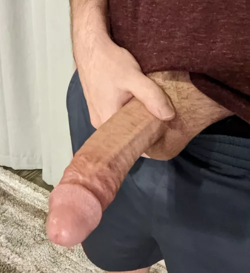 Would you stretch yourself out on me for Hump Day?