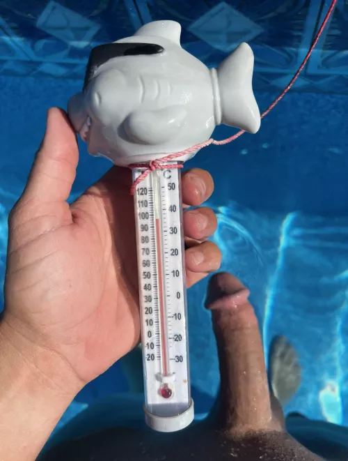 Wow would you look at the temp 👀