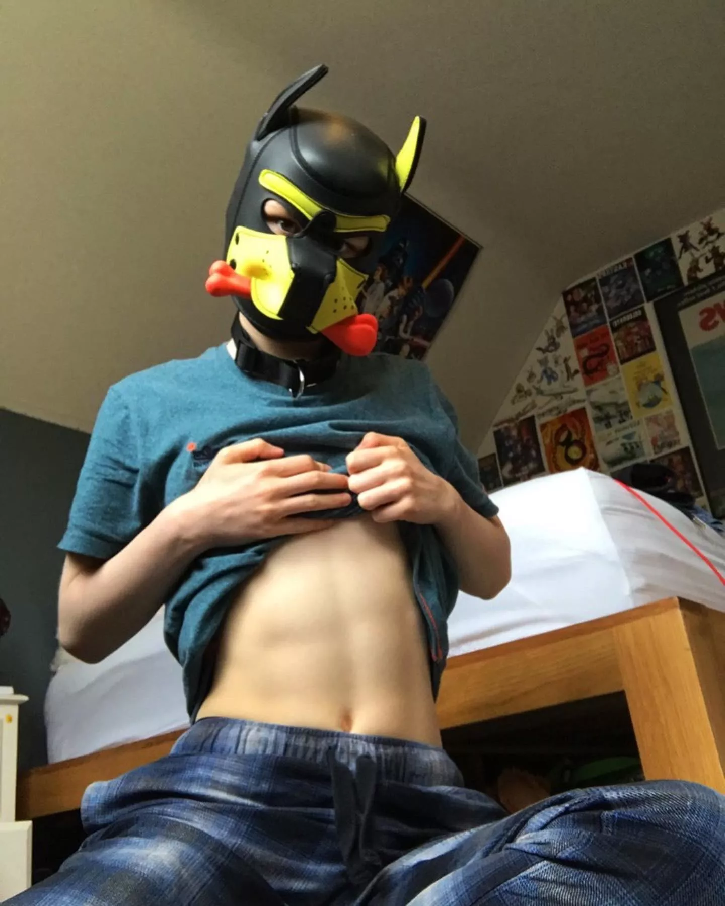 Wruff, any UK pups out there?? 🇬🇧🐾