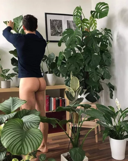 Y'all loik at this plant Daddy 