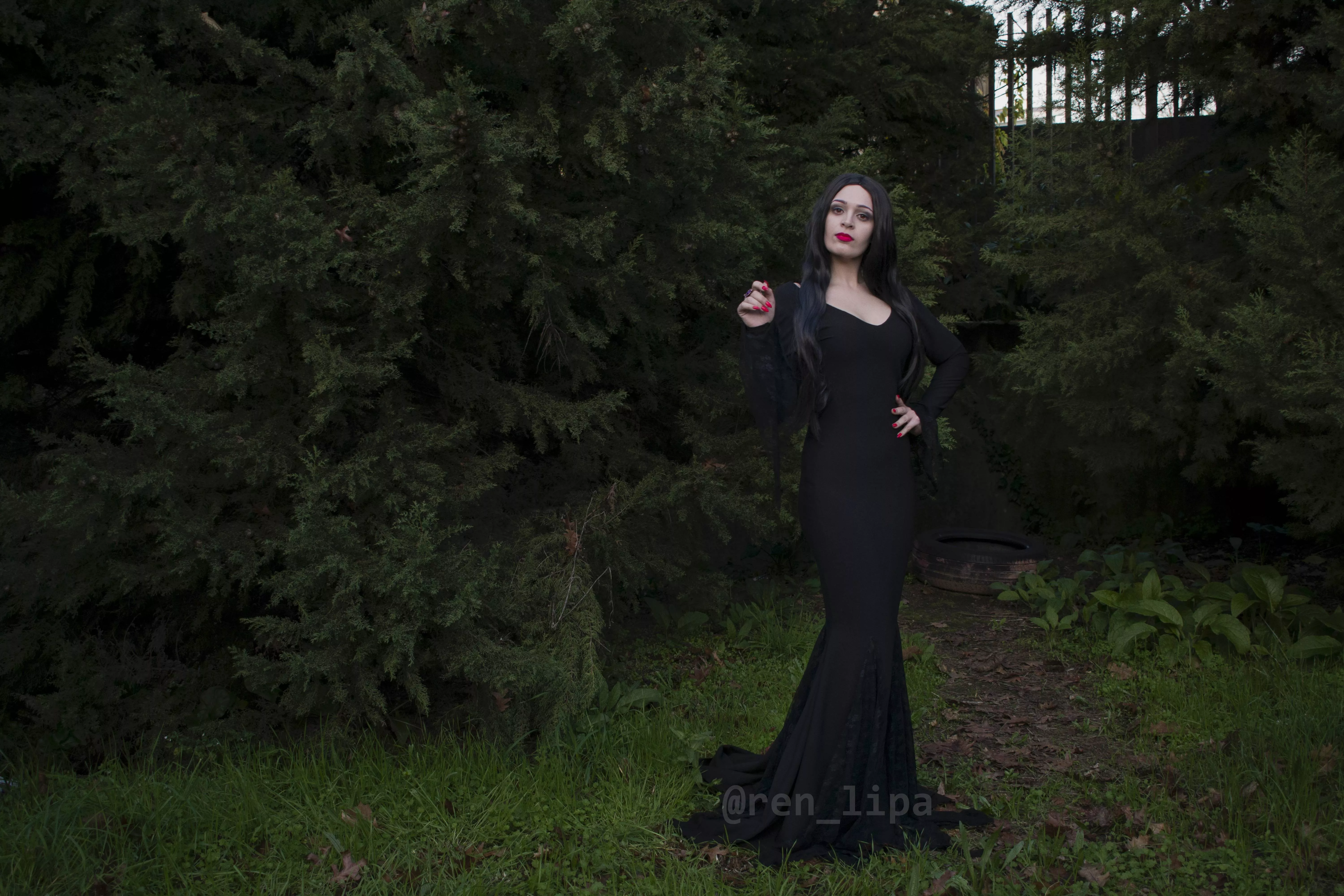 You are dearer to me than all the bats in all the caves in the world - Morticia Addams