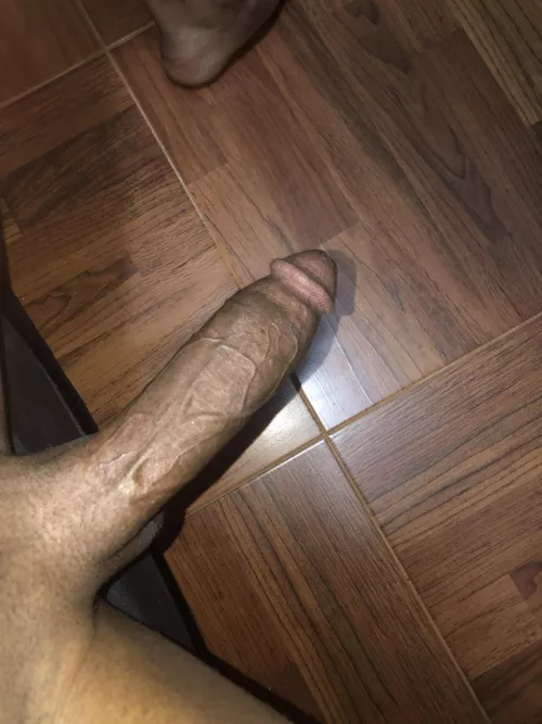 You love this dick ?