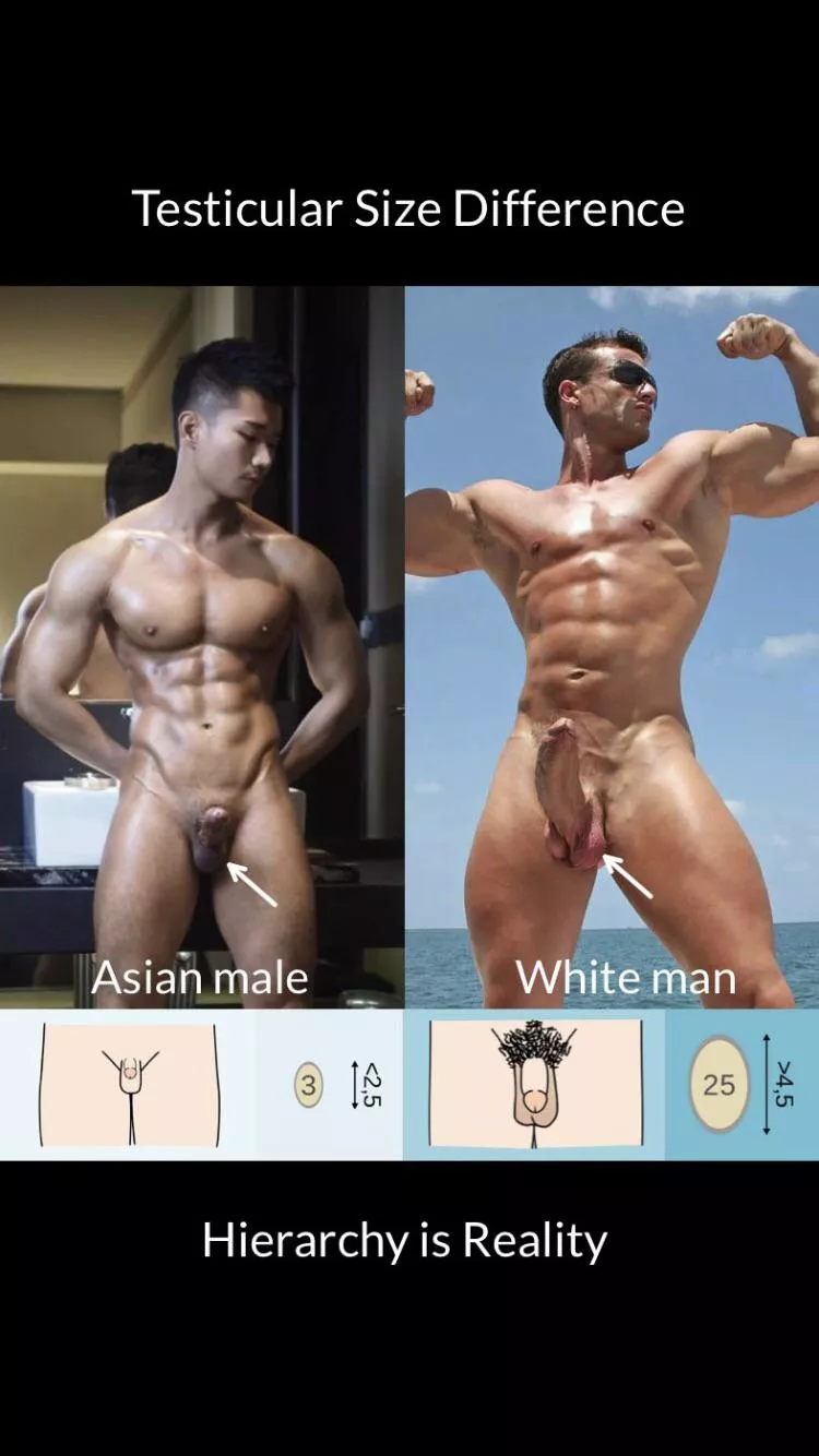 You re just inferior,no shame about it You re just inferior,no shame about it