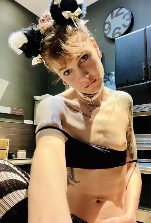 You stopped to look at the ears right? 🐻‍❄️