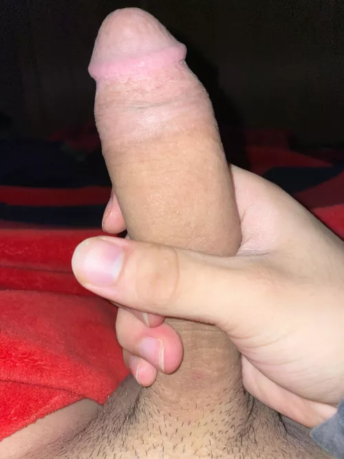 young gamer cock (18)