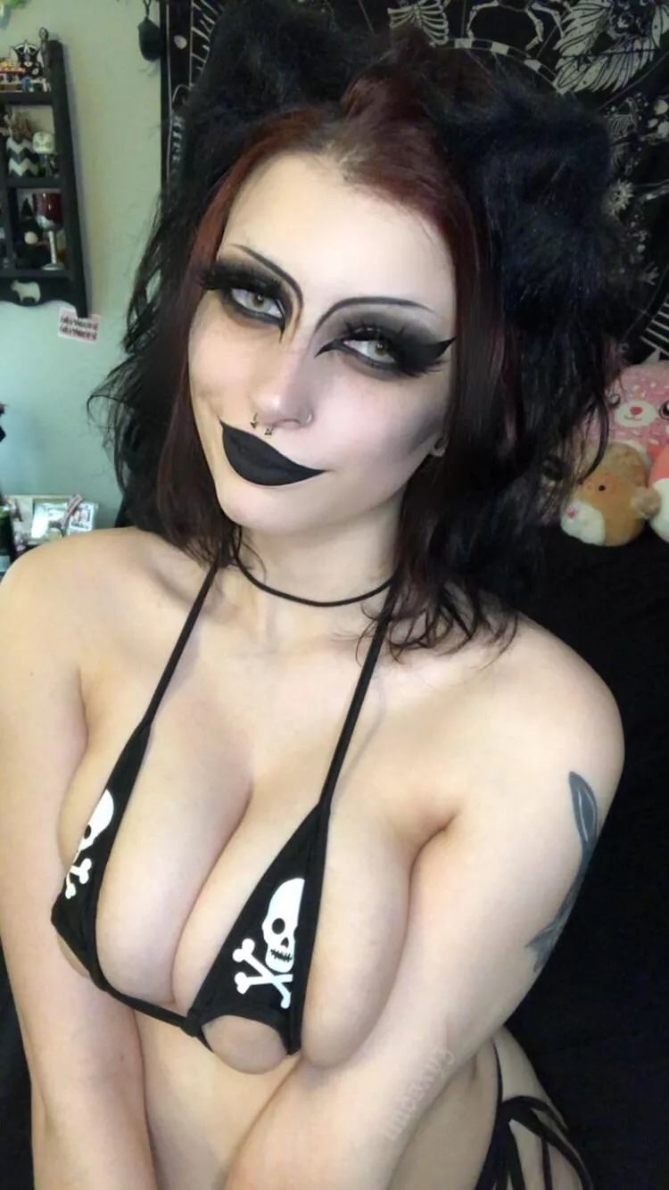 your fave slutty kitty