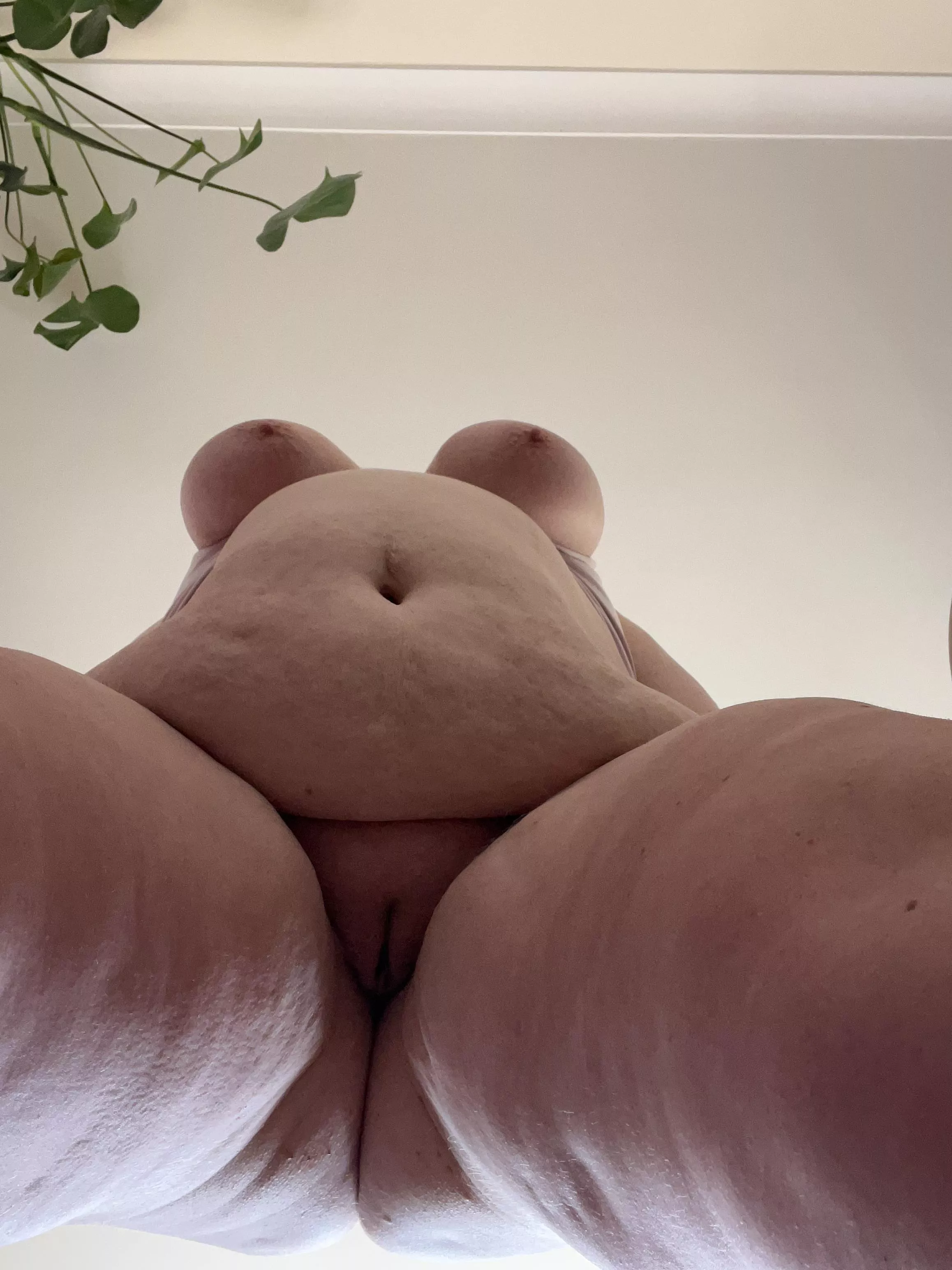 Your view before I sit on your face 😜