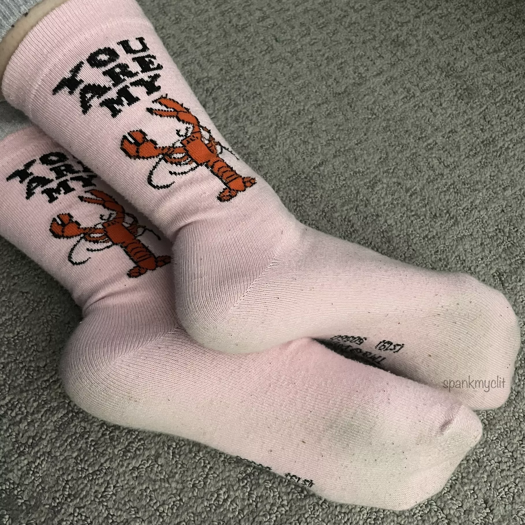 You’re my lobster 🦞 [selling]