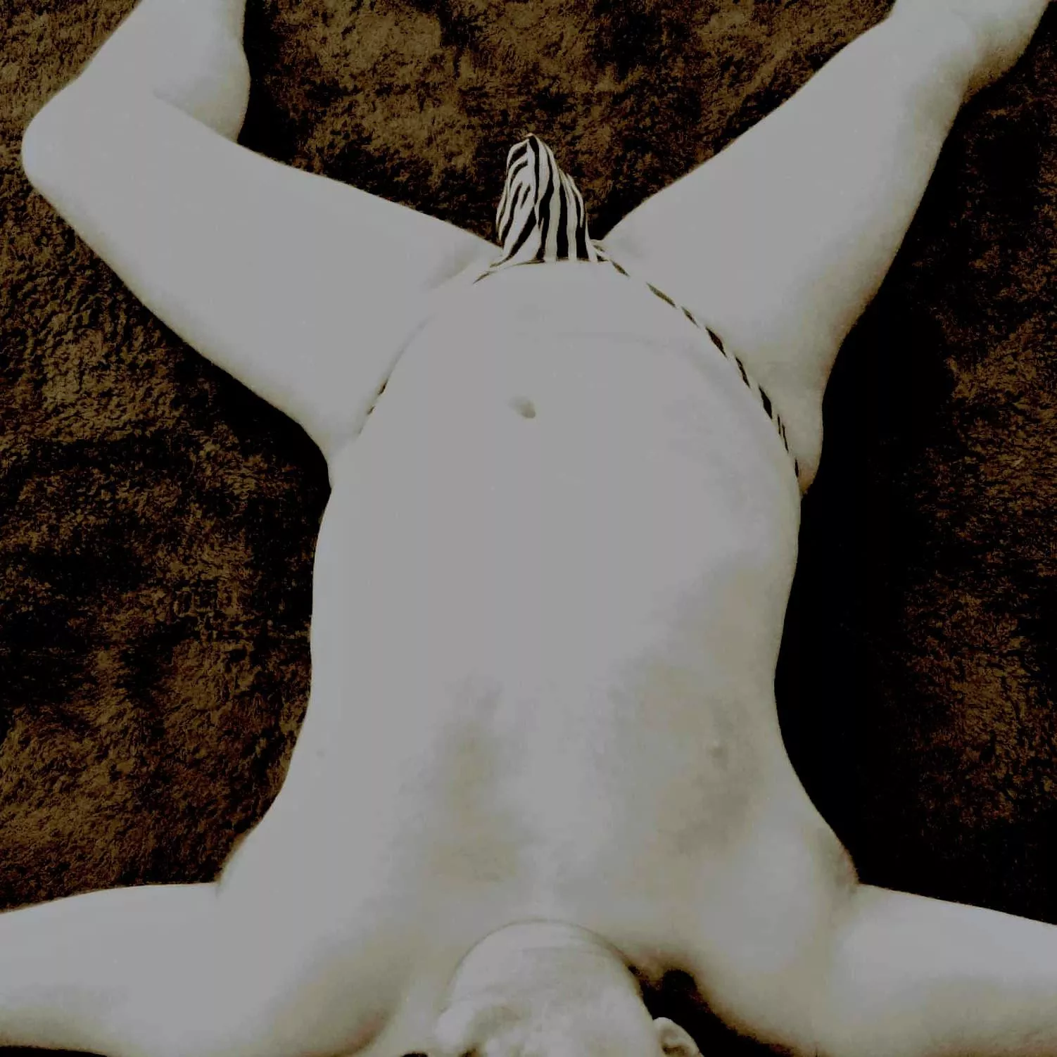 🦓 Zebra posing pouch 🦓