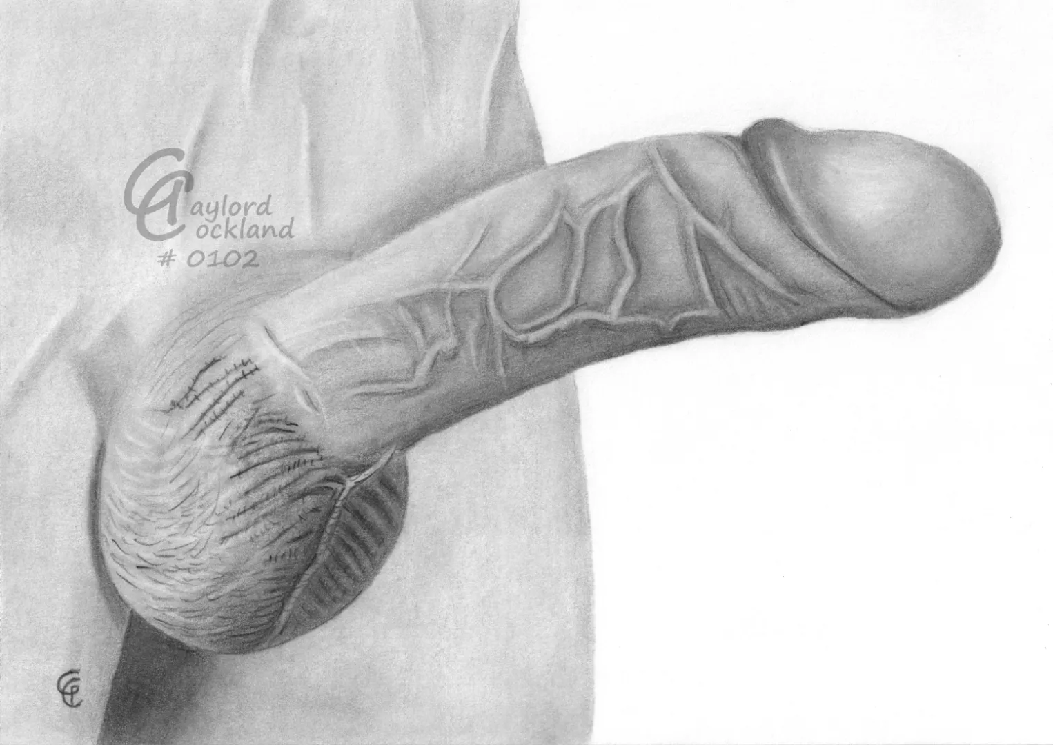 (#102) erect dick with veins, drawn by me