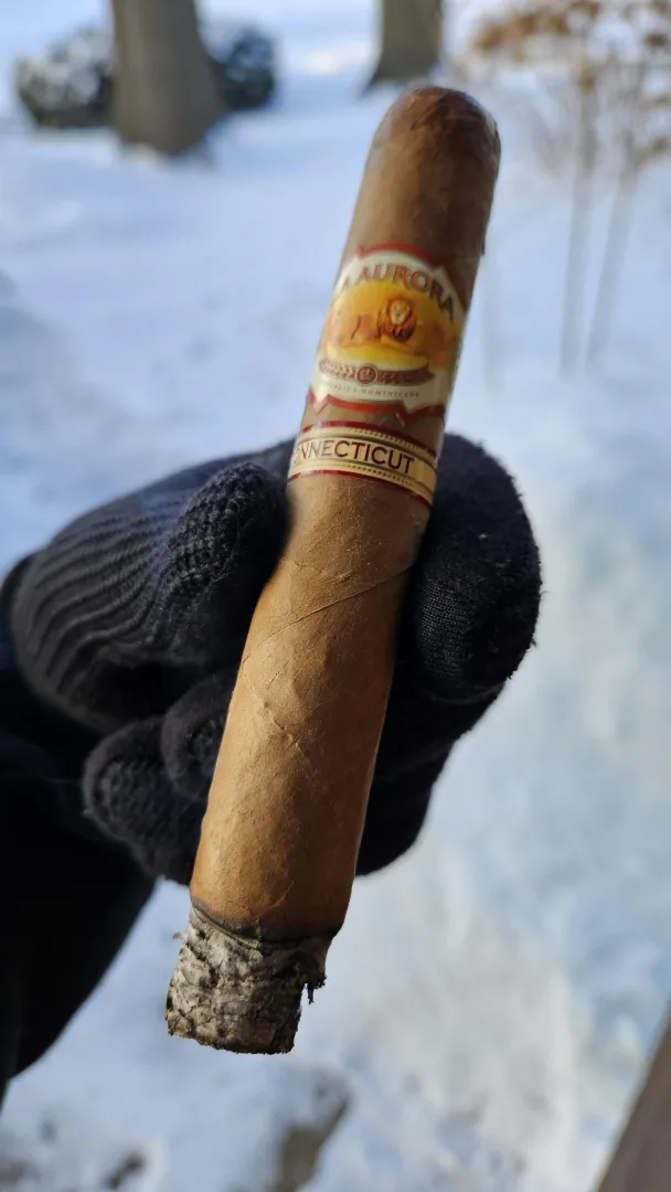 10°F? No problem. La Aurora 1987 Connecticut Toro.