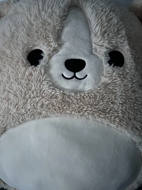 18M New Little hoping to talk to a daddy/caregiver who wants to meet a little and his stuffie! (All 18+ guys are great!)