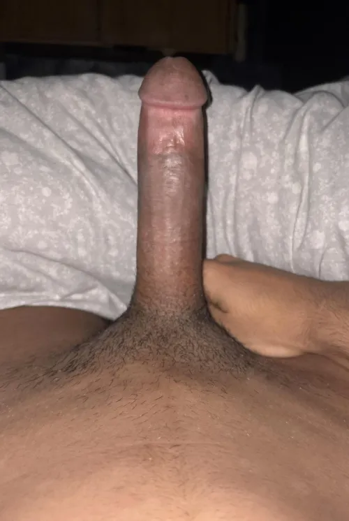 18m4f Bradford, what would you do with my morning wood?