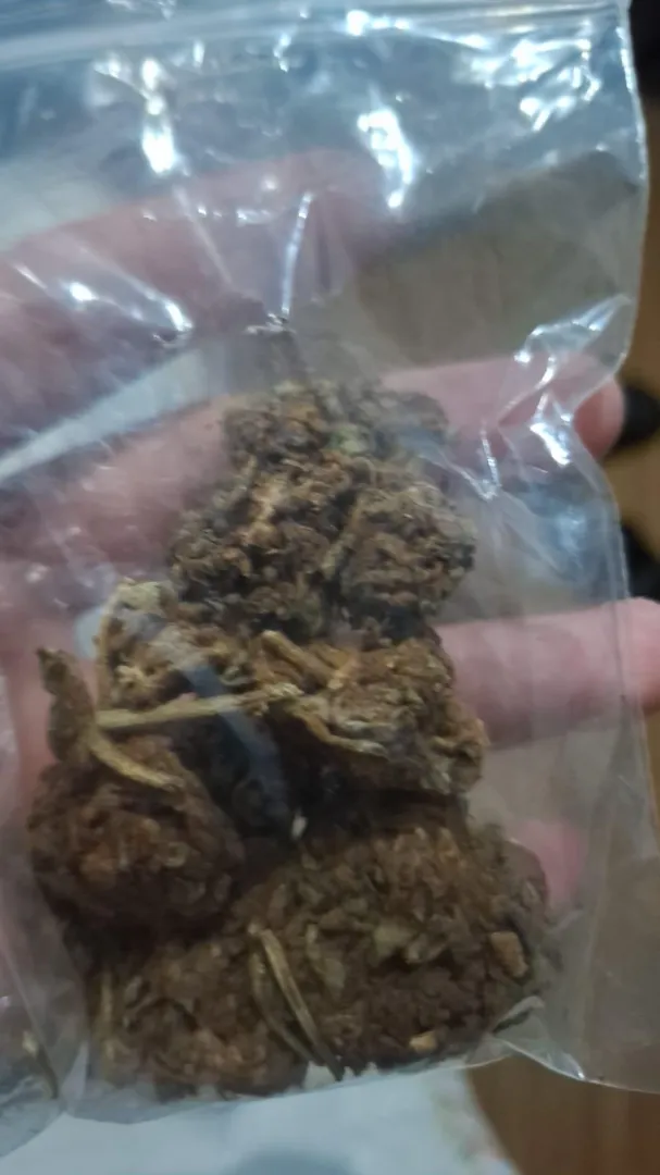 19 a g dessa pineaple,valeu a pena?