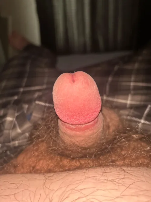 20 chubby looking to be someone’s full time ass eating slave to fuck your ass hole with my tongue and suffocate me under your ass. Make me eat your farts if your interested please add my snap flyersfan1123 don’t be shy it’s all secret