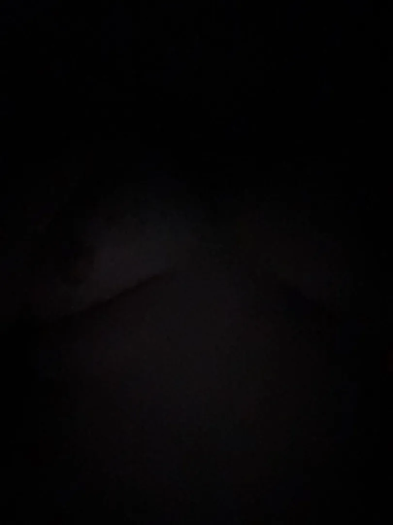 20 M4M Bozeman - college destress