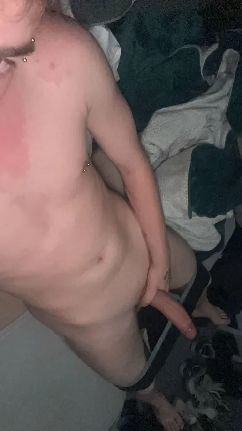 [20] wer will sich drauf setzten